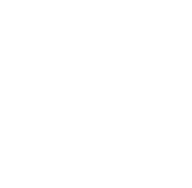 Classic Village